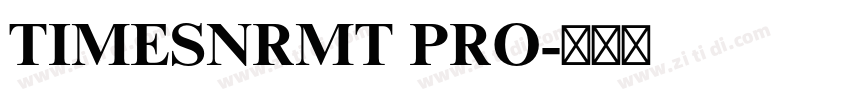 TIMESNRMT PRO字体转换